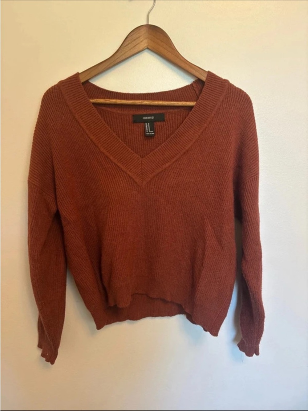 Forever 21 Rust V-Neck Knit Sweater